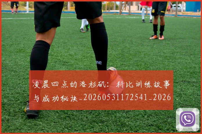 凌晨四点的洛杉矶：科比训练故事与成功秘诀_20260531172541_20260703215917
