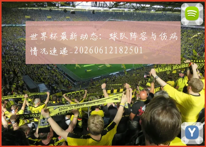 世界杯最新动态:球队阵容与伤病情况速递_20260612182501
