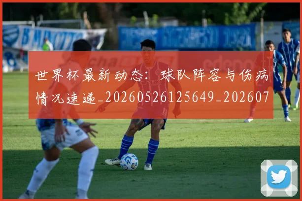 世界杯最新动态：球队阵容与伤病情况速递_20260526125649_20260702174218
