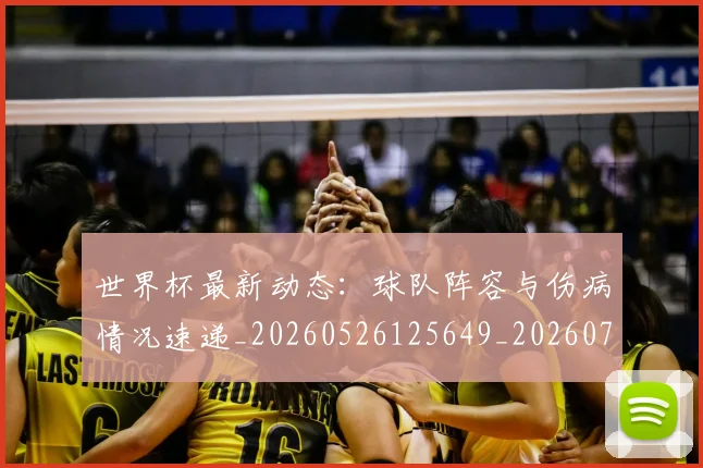 世界杯最新动态：球队阵容与伤病情况速递_20260526125649_20260702174218