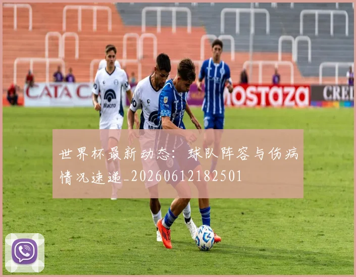 世界杯最新动态：球队阵容与伤病情况速递_20260612182501